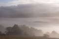  brume
brouillard
paysage
Argonne 