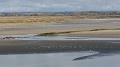 Baie de Somme (France), marée basse baie, Somme, marée basse, bancs de sable 