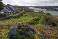 île de Bréhat (Bretagne) Bretagne 
 Bréhat 
 Côtes d'Armor 
 ajonts 
 fleur 
 maison 
 mer 
 paysage 
 rocher 
 île 