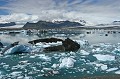 lac alimenté par la fonte de langues glaciaires du Vatnajökull, parsemé d'icebergs aux couleurs variées Islande, glacier,icebergs 