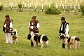 Bergers en costume traditionnel et leurs chiens sélectionnés pour la protection des troupeaux contre les loups. Roumanie,bergers,chiens,costumes 